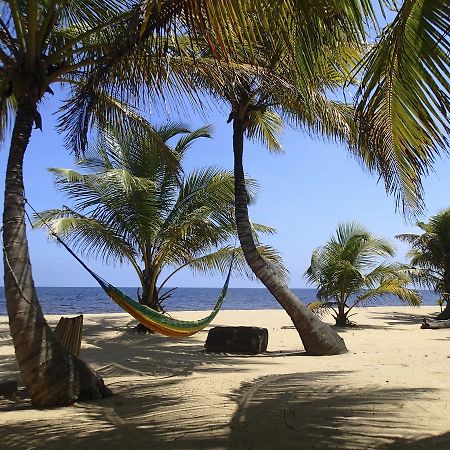 Sabal Beach Hotel Monkey River Town Exterior foto
