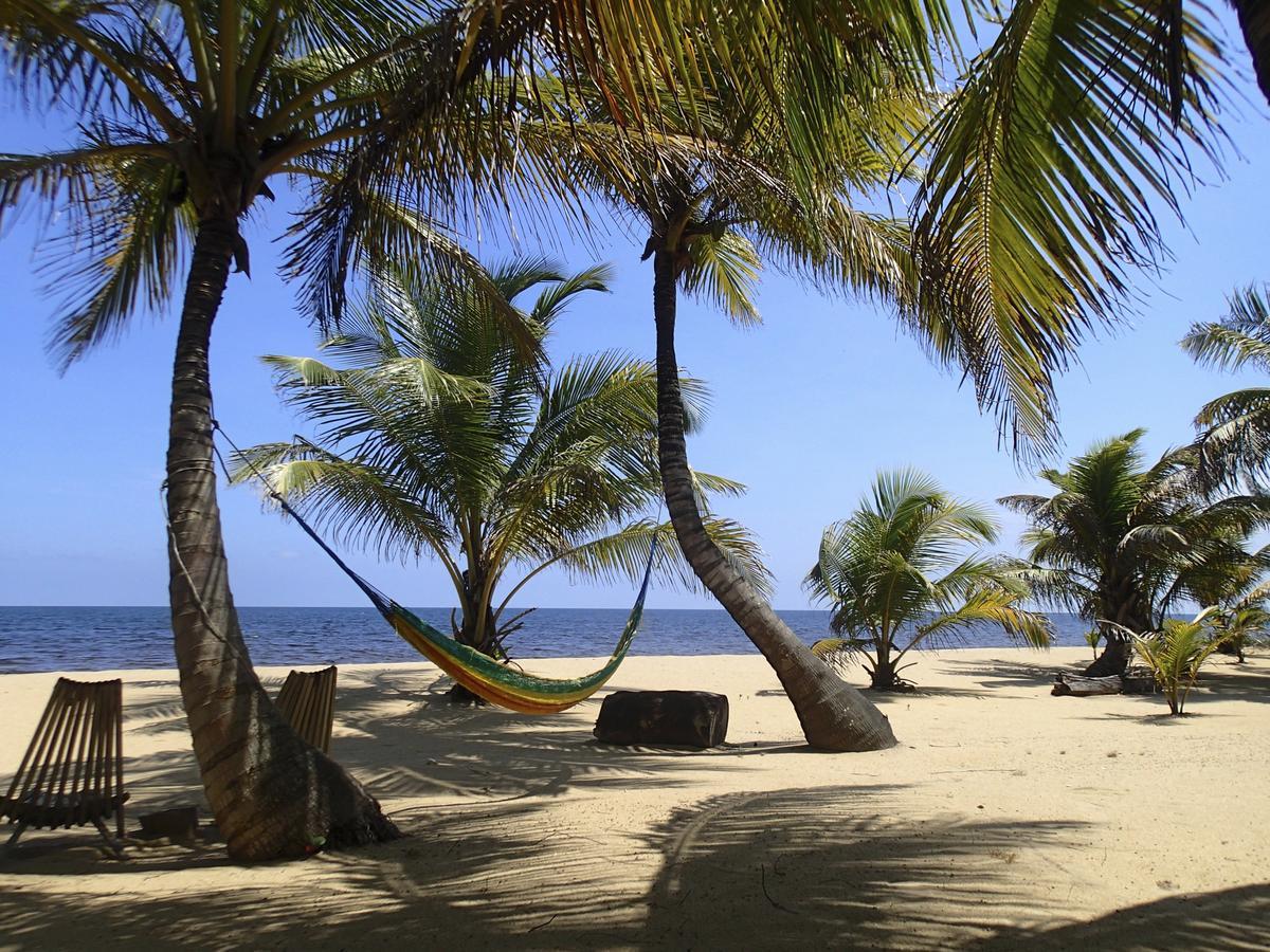 Sabal Beach Hotel Monkey River Town Exterior foto